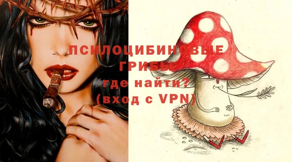 прущие грибы Нефтегорск